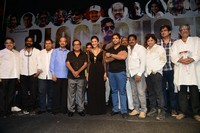 Race Gurram Success Meet Photos